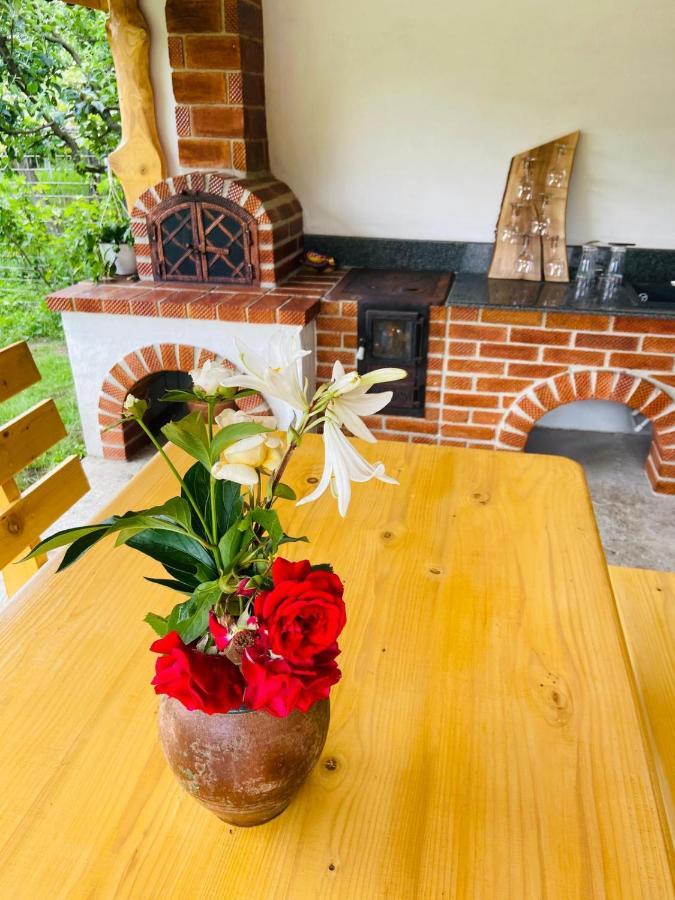 Casa De Vacanta Motata Novaci-Străini Zewnętrze zdjęcie